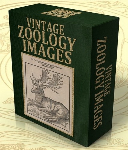 Vintage zoology images 2849 - zoology,