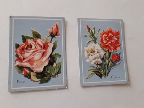 Vintage schulbilder aus - vintage,